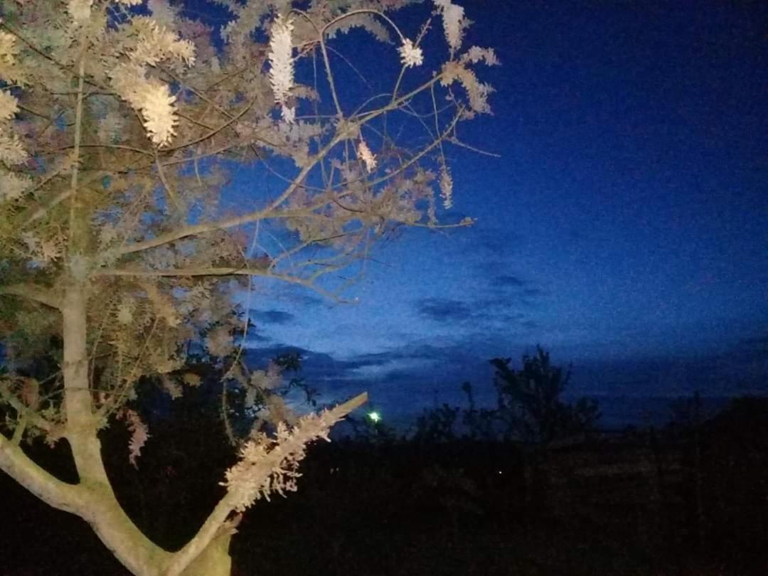 אמבאטו Hosteria El Tisaleno מראה חיצוני תמונה