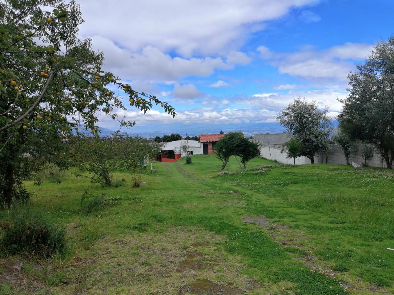 אמבאטו Hosteria El Tisaleno מראה חיצוני תמונה